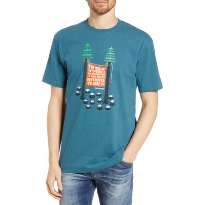 Patagonia Treesitters Responsibili-Tee Graphic T-Shirt, Blue/green