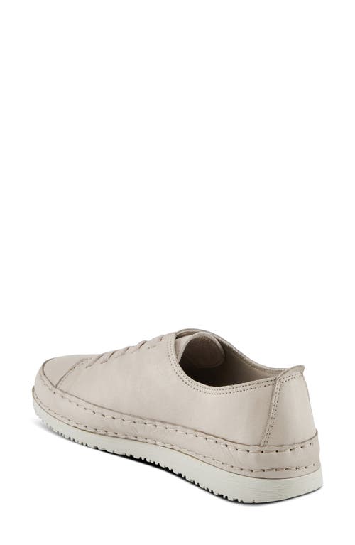 Shop Spring Step Abeck Sneaker In Stone