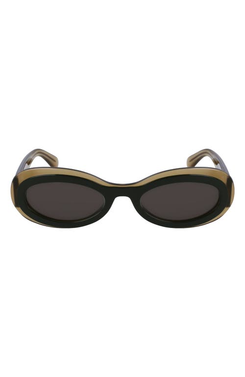 Ferragamo Classic Logo Acetate Oval Sunglasses In Transparent Khaki/green