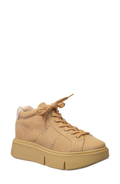 Essex High Top Sneaker in Beige