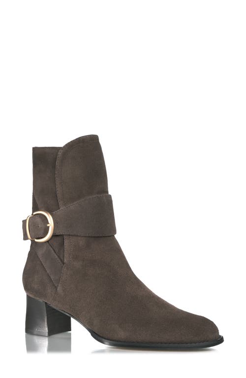 Catherine Buckle Bootie in Chocolate