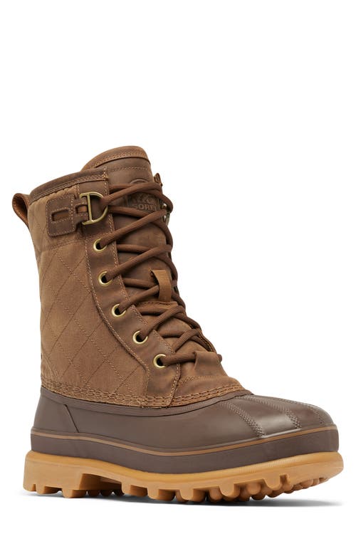 SOREL Caribou Royal Waterproof Boot in Velvet Tan/Tobacco 