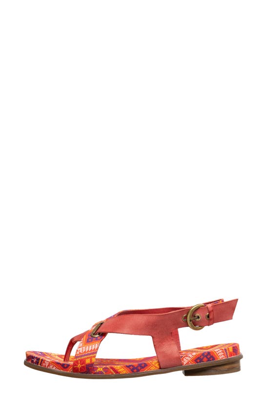 Shop Antelope Rey Slingback Sandal In Red Leather