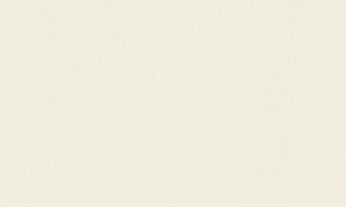 Nordstrom Opaque Knee High Socks In Ivory