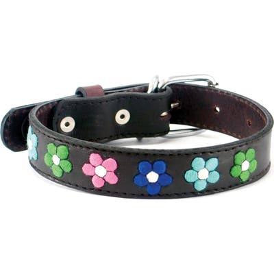Georgie Paws Jeanne Leather Dog Collar, Brown