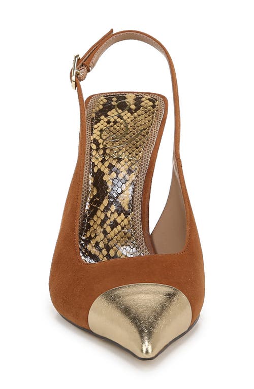 Shop Sam Edelman Odette Slingback Pointed Cap Toe Pump In Frontier Brown/amber Gold