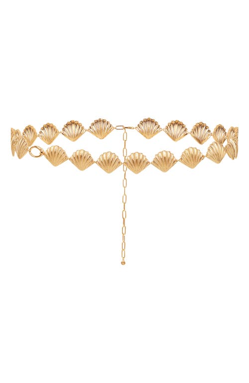 Ettika 18k Gold Plated Scallop Shell Body Chain In Gold