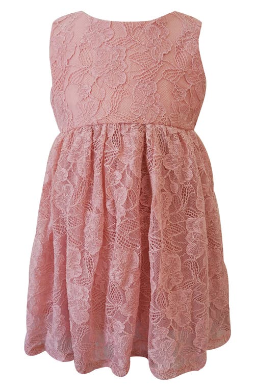 Popatu Sleeveless Lace Dress in Dusty Pink 