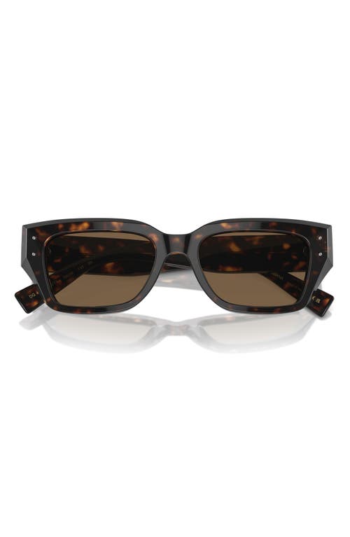 Dolce&Gabbana 52mm Cat Eye Sunglasses in Havana 