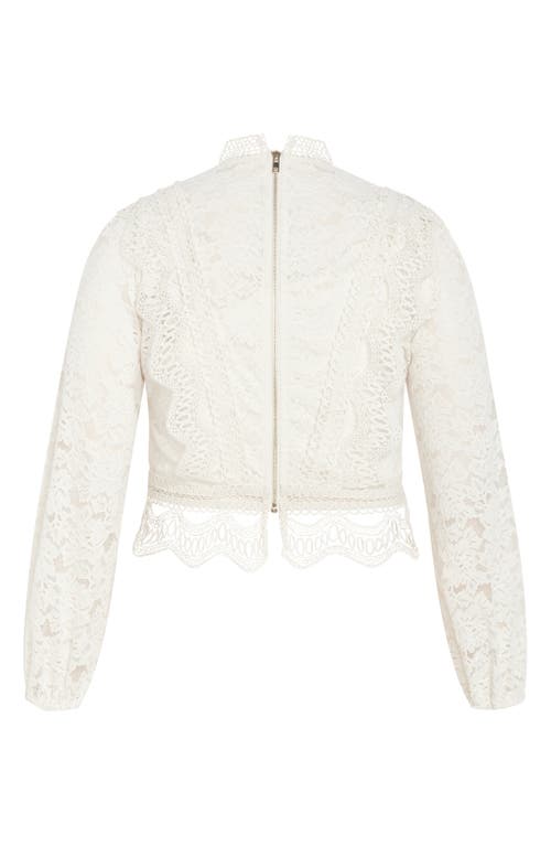 City Chic Lucielle Lace Top In Porcelain