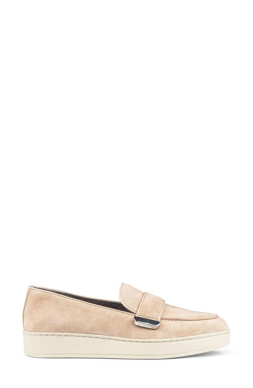 Shop Donald Pliner Tamara Slip-on Sneaker In Sand