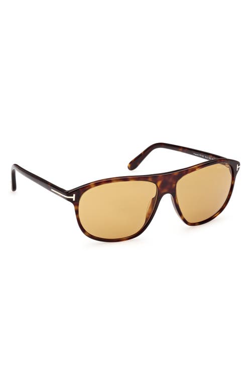 Shop Tom Ford Prescott 60mm Square Sunglasses In Shiny Dark Havana/amber