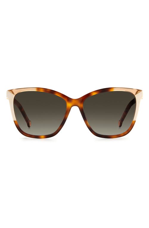 Carolina Herrera 58mm Rectangular Sunglasses in Havana Ivory /Brown