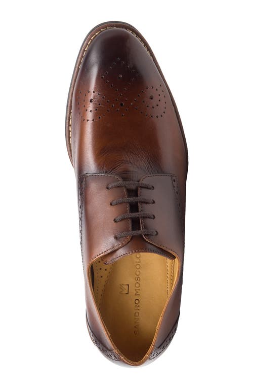 Shop Sandro Moscoloni Mended Medallion Toe Derby In Brown Leather
