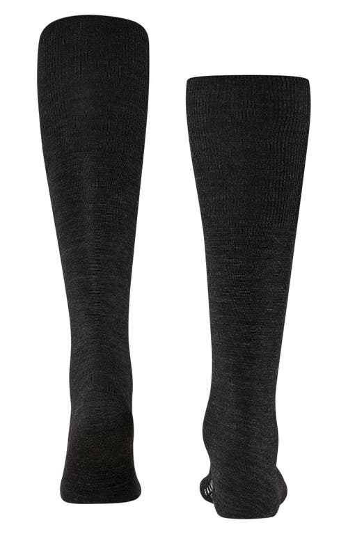 Shop Falke Airport Knee High Socks In Anthracite
