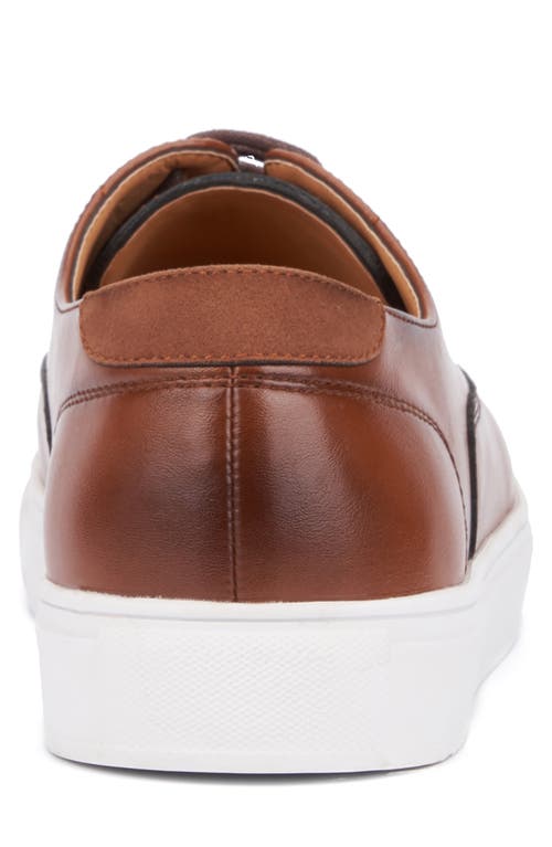 X-ray Footwear Men's Felix Low Top Sneakers In Tan