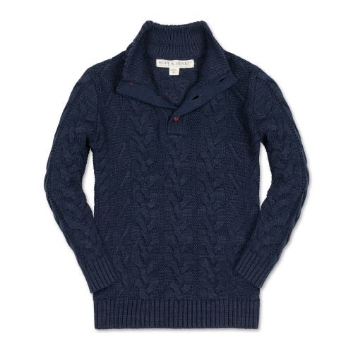 Hope & Henry Baby Boys' Organic Mock Neck Cable Sweater, Infant In Chunky Navy Cable