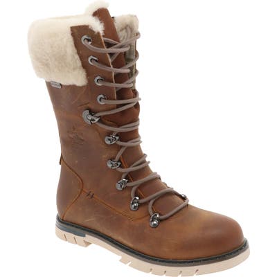 Royal Canadian Sherbrooke Genuine Shearling Cuff Waterproof Boot, Brown