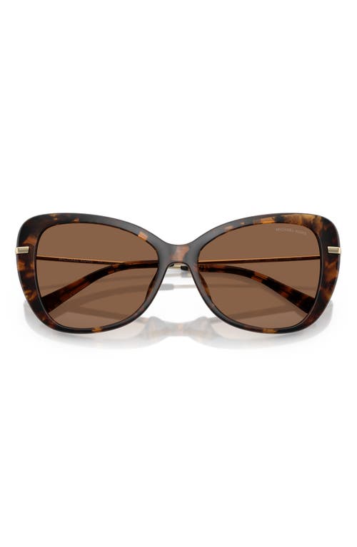 Michael Kors 56mm Butterfly Sunglasses In Dark Tort