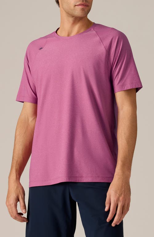 Reign Athletic Short Sleeve T-Shirt in Dried Plum Heather