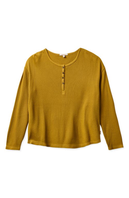Brixton Monty Waffle Knit Cotton Henley Top in Willow