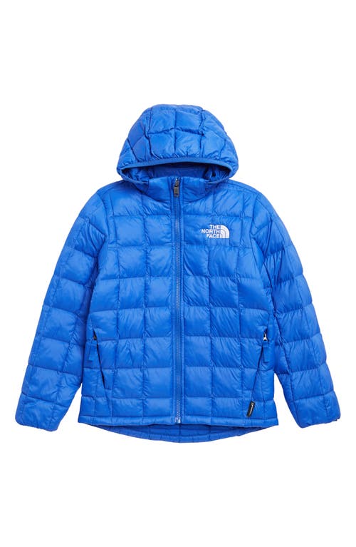 Shop The North Face Kids' Thermoball™ Hooded Jacket In Tnf Blue