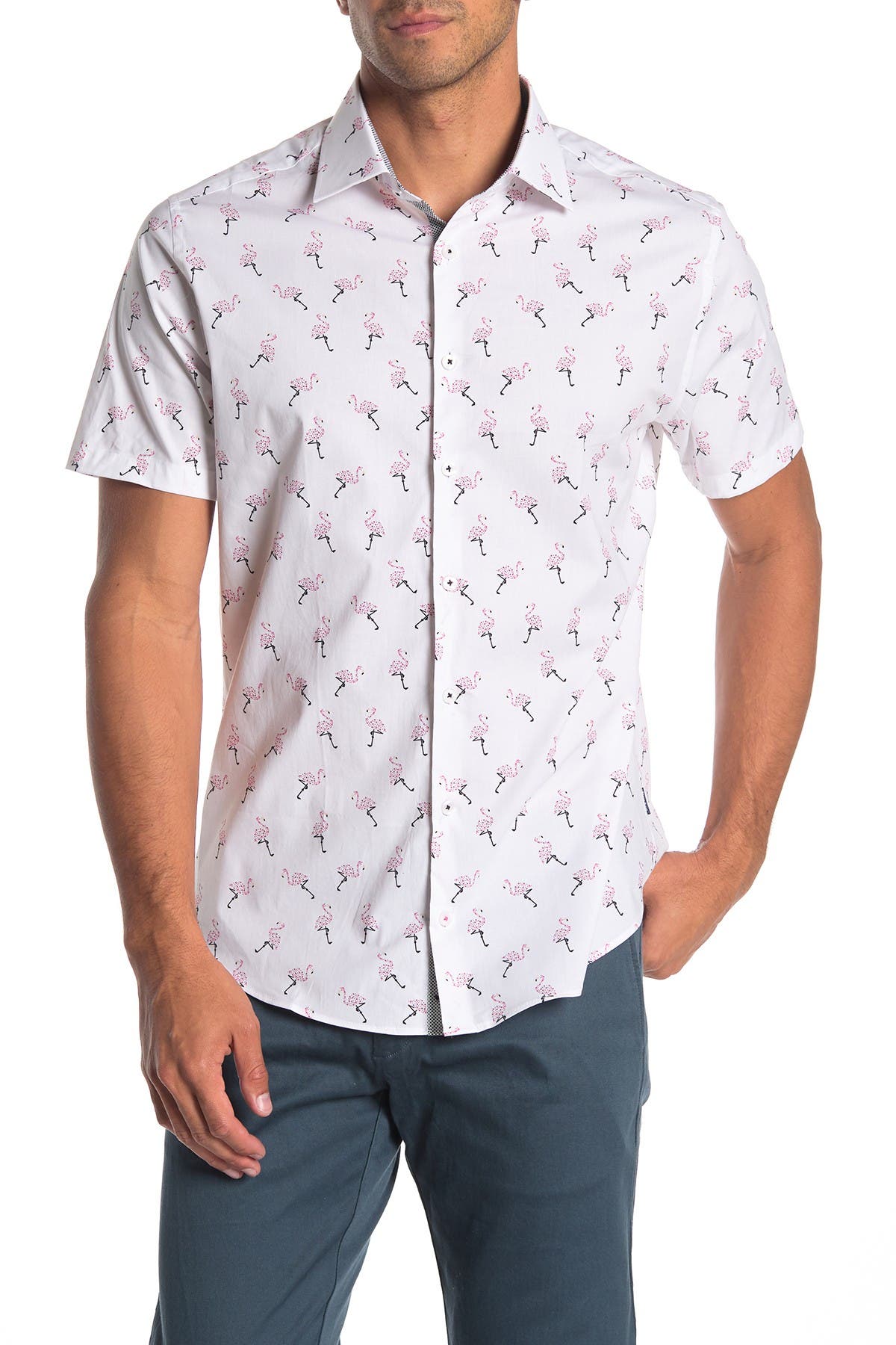 flamingo short sleeve shirt