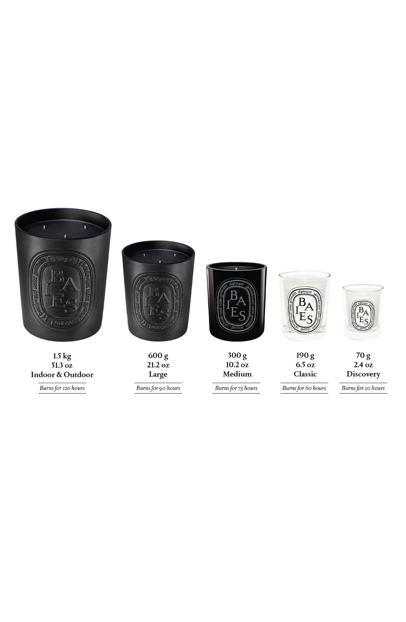 Diptyque Baies (Berries) Scented Candle Nordstrom