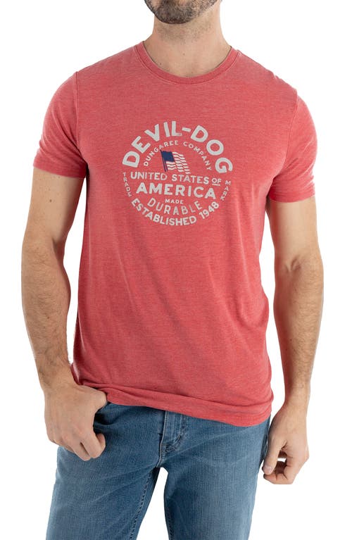 USA Stamp Graphic T-Shirt in Heather Red