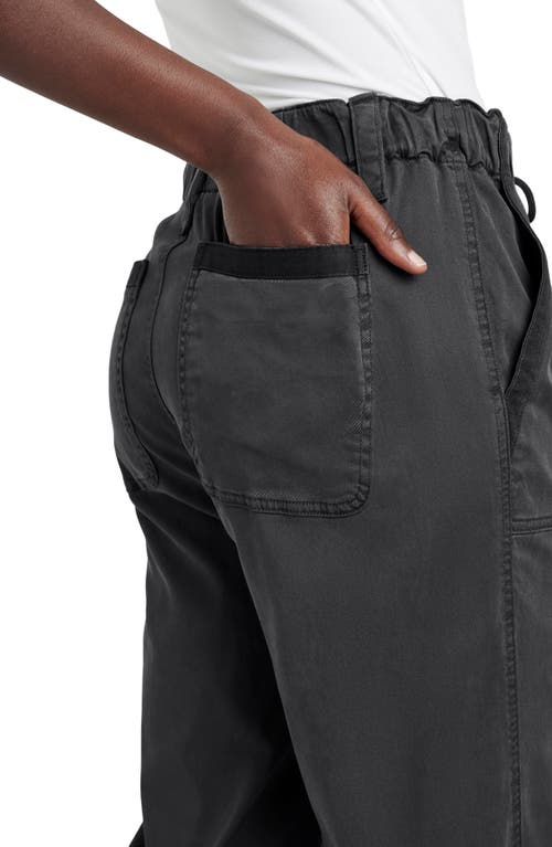 Splendid Gianna Crop Drawstring Pants In Lead