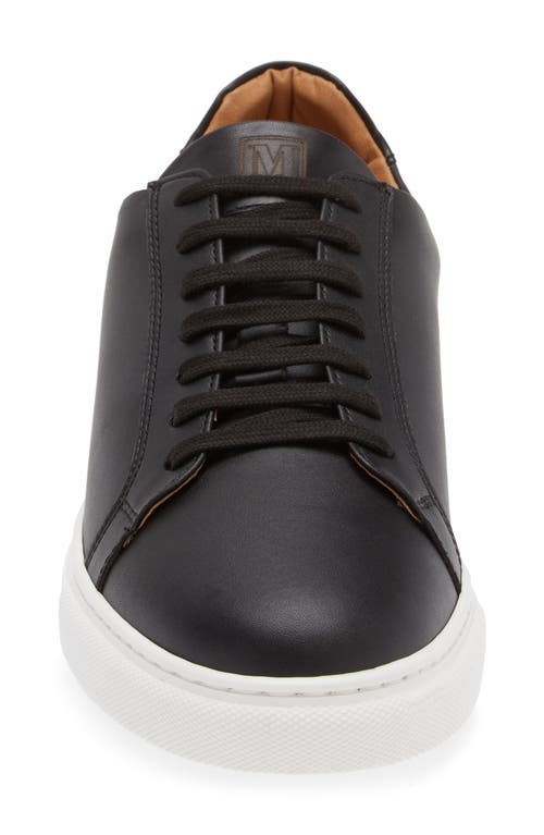 Bruno Magli Daniel Low Top Sneaker In Black