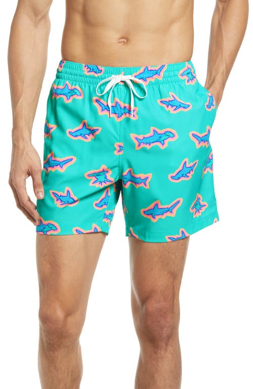 Chubbies Classic Lined 5.5-inch Swim Trunks In Mint