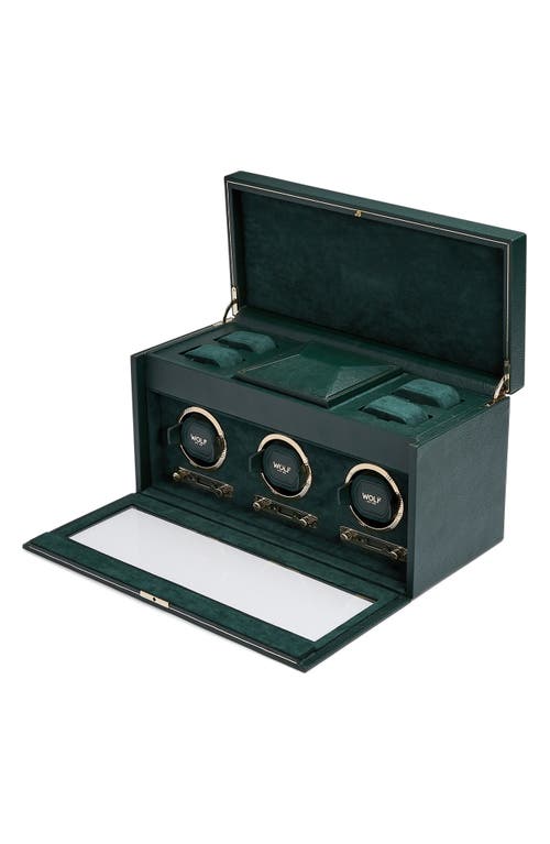 Wolf British Racing Green Triple Watch Winder & Case In Green