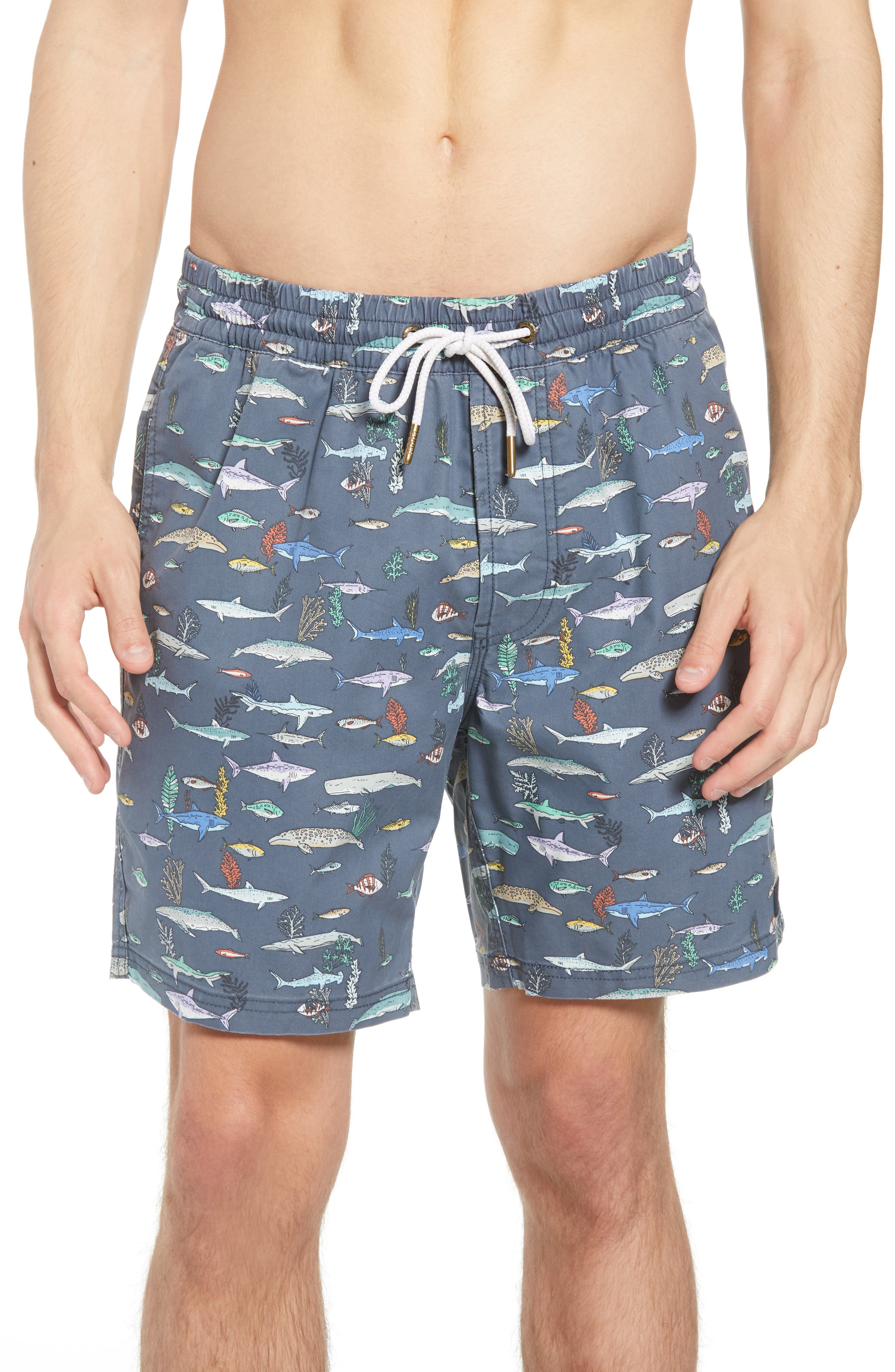 barney cools swim trunks