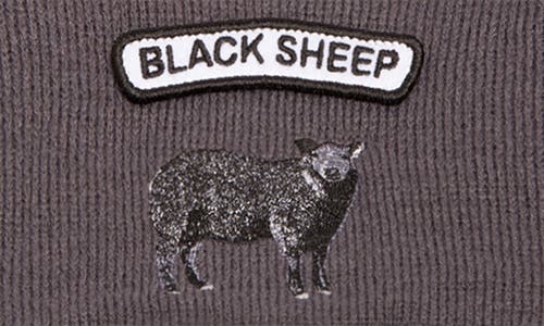 Goorin Bros . Soft Rock Black Sheep Merino Wool Blend Beanie In Charcoal