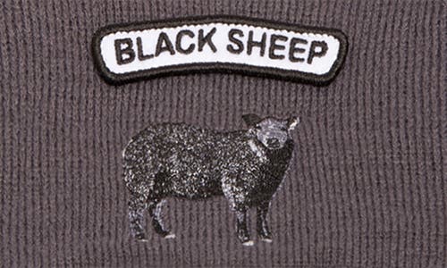 Shop Goorin Bros . Soft Rock Black Sheep Merino Wool Blend Beanie In Charcoal