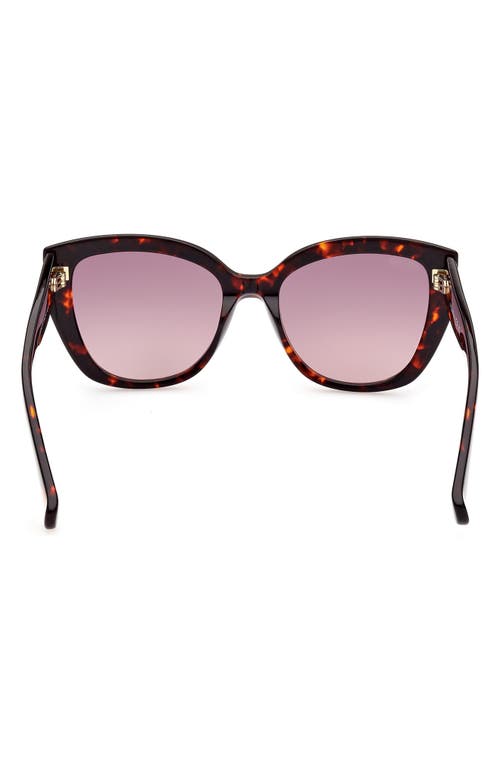 Shop Max Mara 54mm Cat Eye Sunglasses In Shiny Red Havana/bordeaux