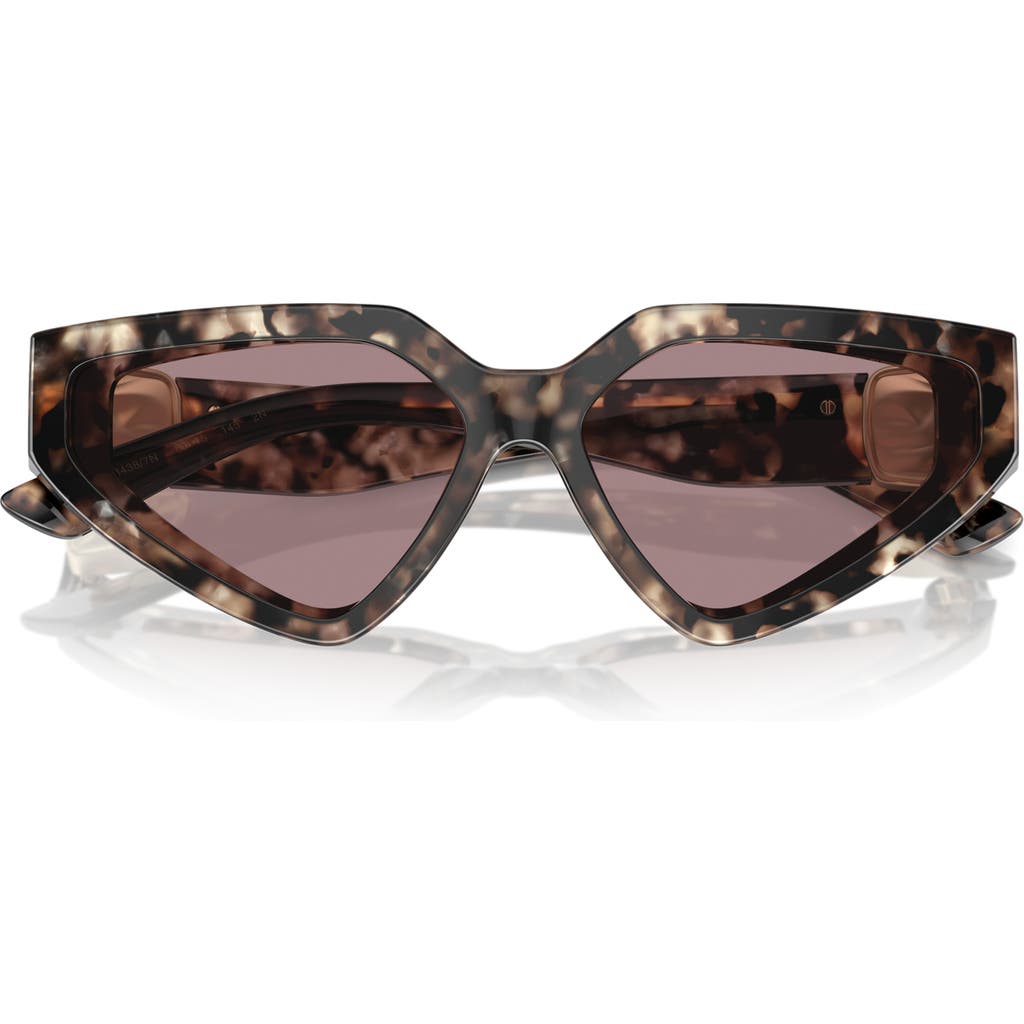 Dolce & Gabbana Dolce&gabbana 59mm Butterfly Sunglasses In Brown