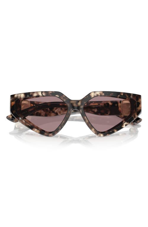 Dolce & Gabbana 59mm Butterfly Sunglasses in Brown Havana at Nordstrom