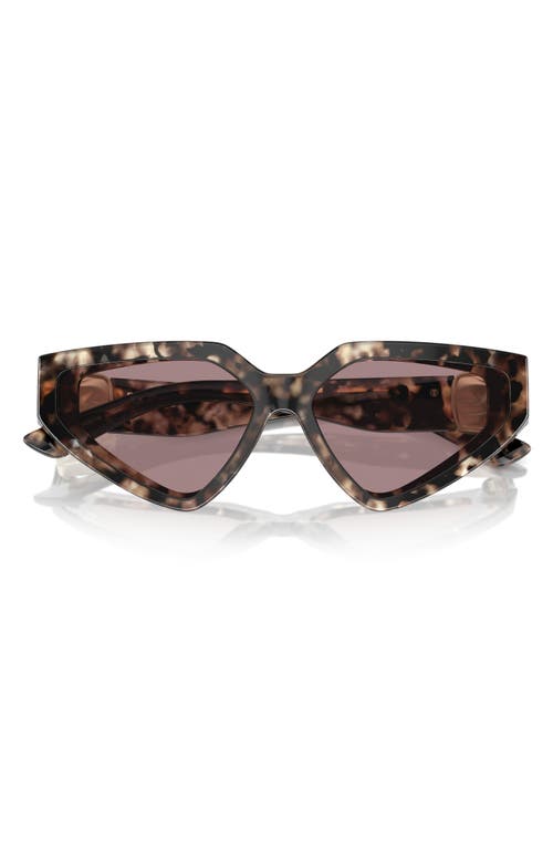 Shop Dolce & Gabbana Dolce&gabbana 59mm Butterfly Sunglasses In Brown Havana