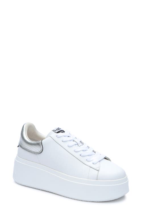 Ash Moby Sneaker In White/silver