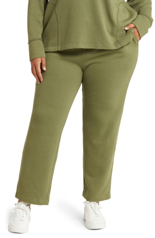 caslon(r) Straight Leg French Terry Pants in Green Sorrel