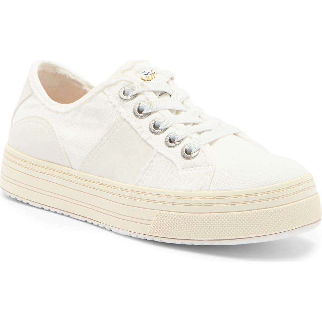 BLOWFISH FOOTWEAR BLOWFISH MALIBU SUPER SMILE SLIP-ON SNEAKER