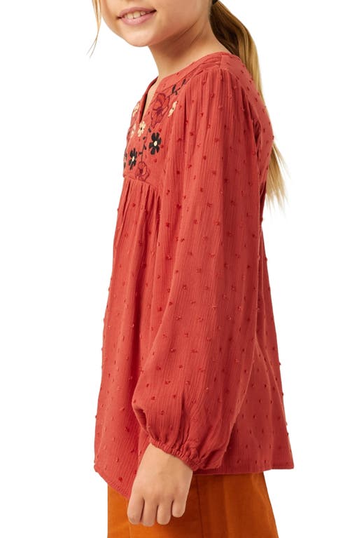 Hayden Girls Kids' Embroidered Long Sleeve Top In Rust