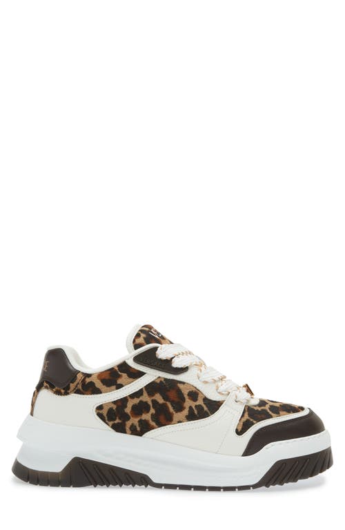 Shop Versace Odissea Genuine Calf Hair Sneaker In Ebano Ivory Gold