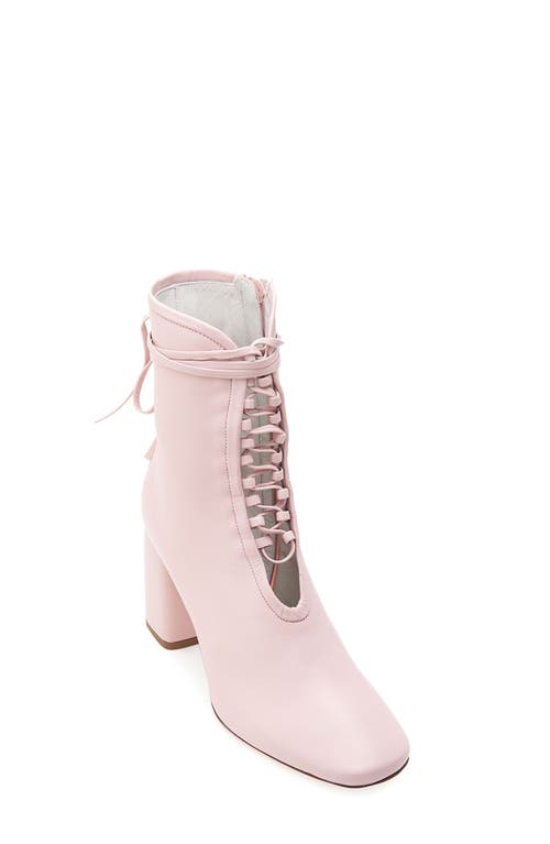 Shop Daniella Shevel Belladonna Boot In Soft Pink