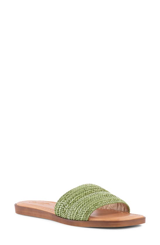 Shop Seychelles Palms Perfection Slide Sandal In Green