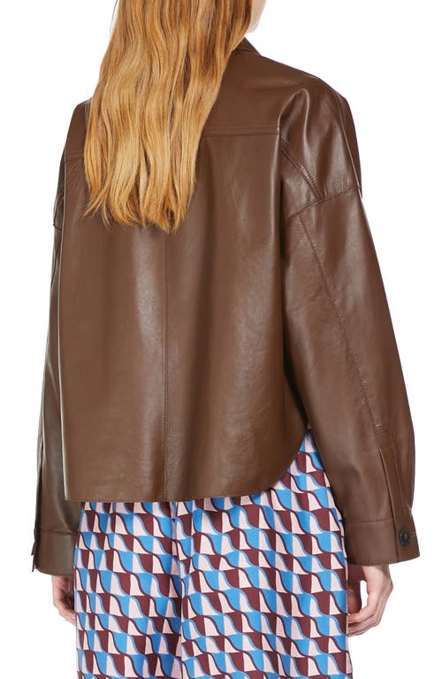 Shop Weekend Max Mara Buono Leather Shirt Jacket In Tobacco