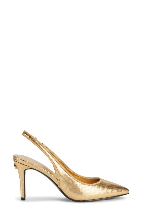 Shop Karl Lagerfeld Paris Rosalyn Snakeskin Embossed Pointed Toe Pump In Gold