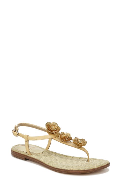 Sam Edelman Gigi Flora Sandal Desert Sun at Nordstrom,